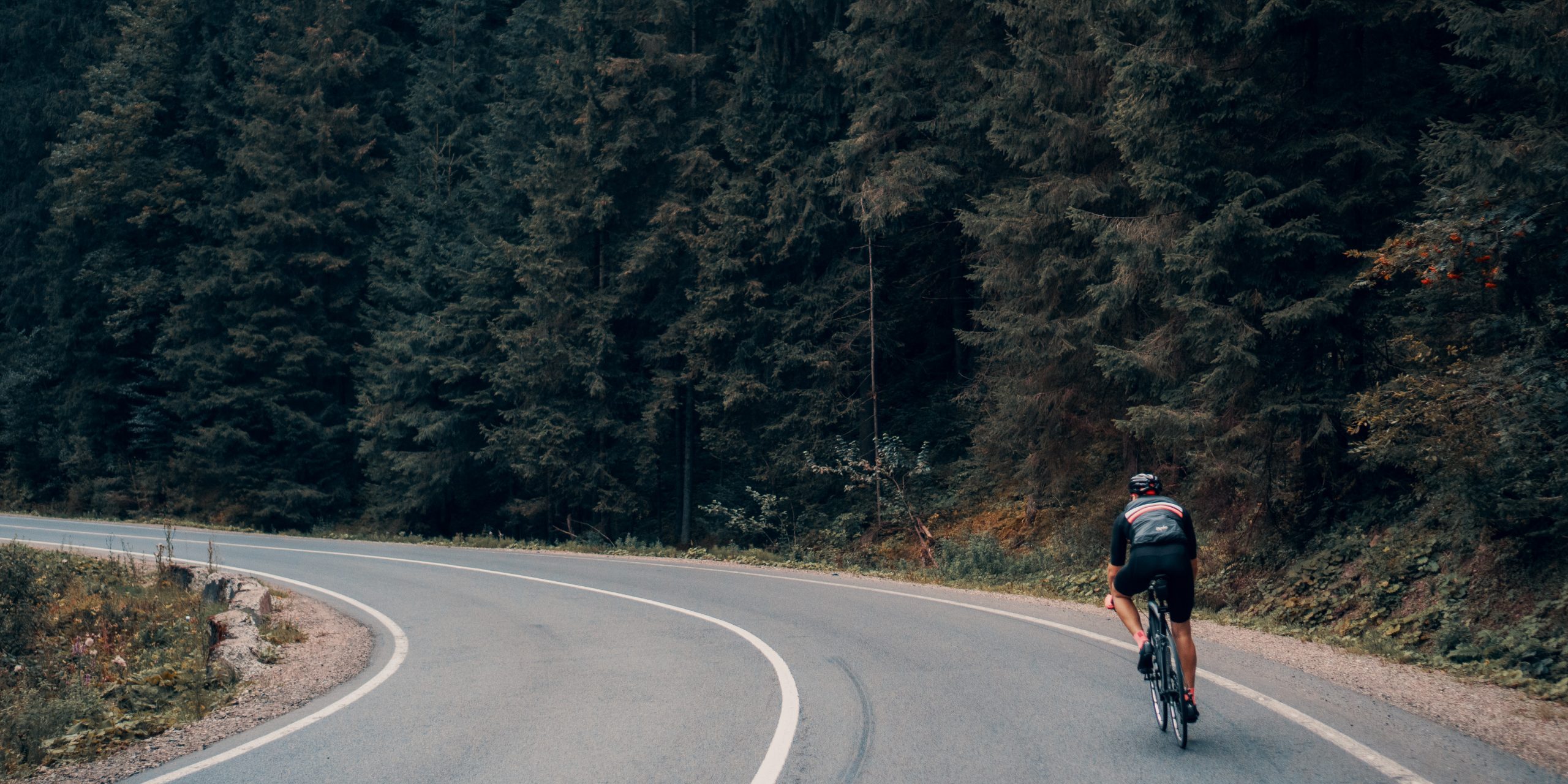 victor-xok-Gi0OMNguFaw-unsplash