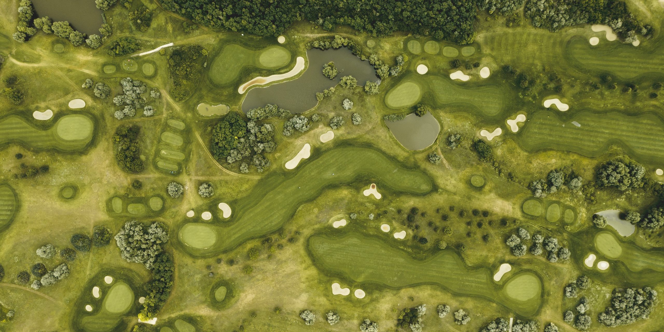 richard-brutyo-HQXFhq8FNJ8-unsplash