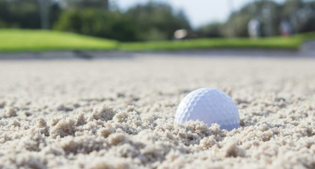 steven-shircliff-PDemGJ_GHig-unsplash (1)