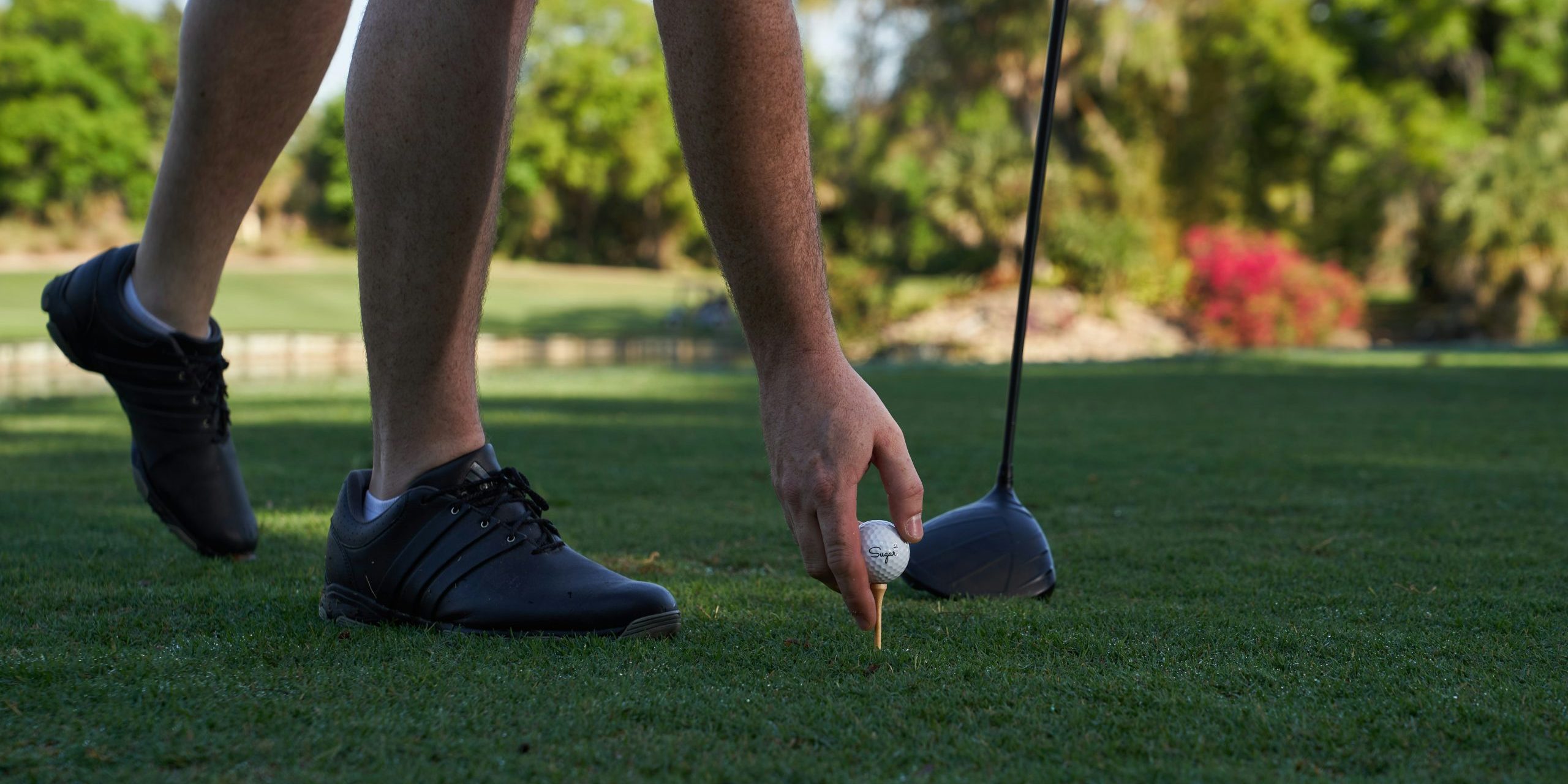 sugar-golf-NXXmCsRDUJQ-unsplash